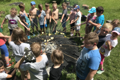 Naravoslovni tabor Peca  - peka jabolk